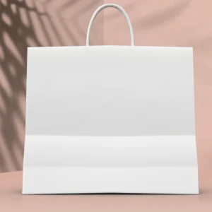 Cozum-Ambalaj-Konak-Gida-Carsisi-Izmir-Beyaz Kraft Burgu Saplı Virgin Çanta 31x18x33
